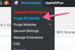 Purge All Caches speed up wordpress guide